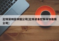 比特深圳区块链公司[比特资本控股深圳有限公司]