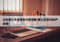 公司第三方信用支付区块链[第三方支付的产业链]