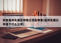 安徽亳州友盾区块链公司在哪里[亳州友盾公司是个什么公司]